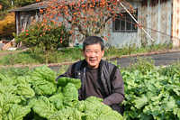 かつお菜の生産者：渡　公利さん（小山田）