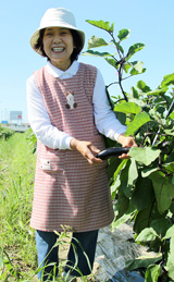 なすの生産者：元満タツ子さん（新久保）