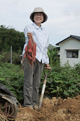 さつまいもの生産者：常岡靜香さん（小竹）