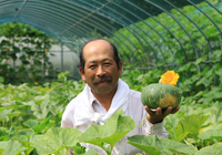 かぼちゃの生産者：中野栄次さん（小竹）