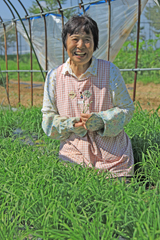 ニラの生産者：八尋久美子さん（薦野）