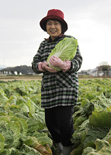 白菜の生産者：元満タツ子さん（新久保）