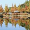 「古賀グリーンパーク」秋景