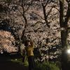 夜空に浮かぶ満開の桜