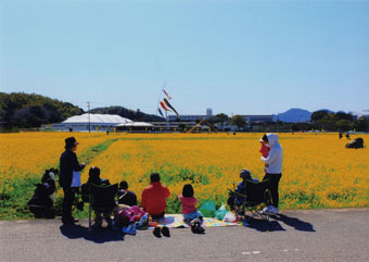 お花見