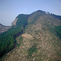 薬王寺廃寺