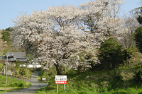 医王寺