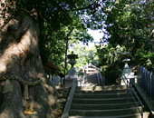 五所八幡宮と鎮守の森（青柳）