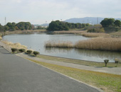 千鳥ヶ池公園（舞の里2）