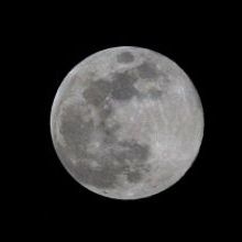 「ウルフムーンご覧になりましたか？」イメージ