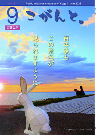 海辺のうさぎ