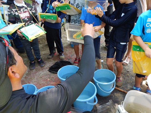 生き物観察会