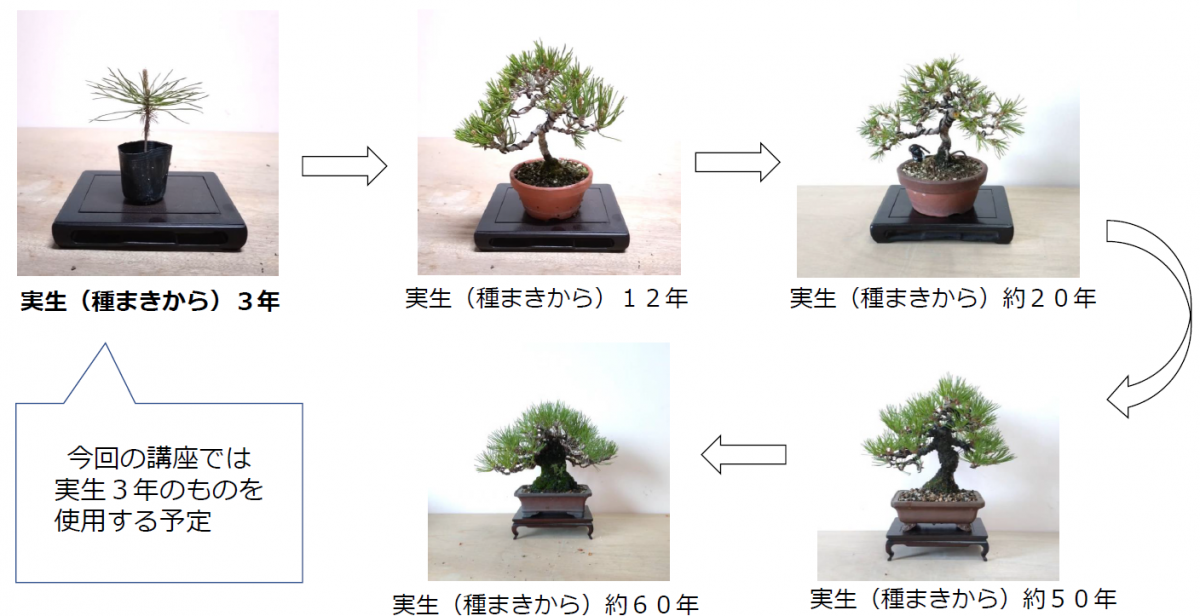 画像名